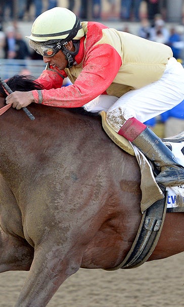 Why the city of Boston will be cheering on a Kentucky Derby contender